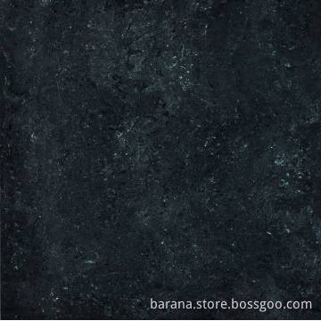 Porcelain Tile (QA6135P_3)